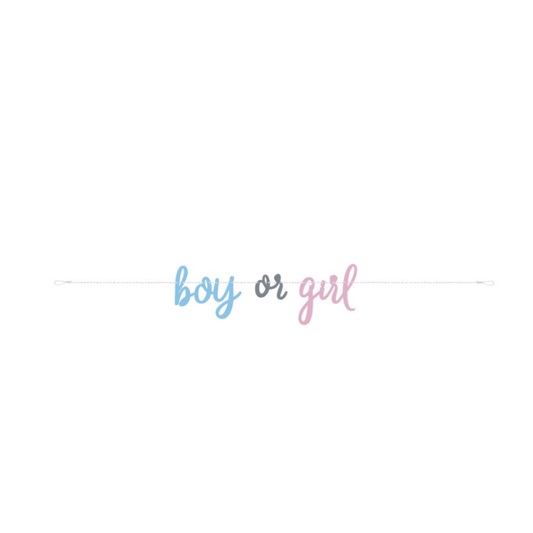 Boy or Girl Banner